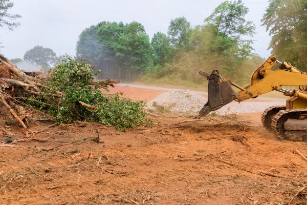Ground Clearing in Redding