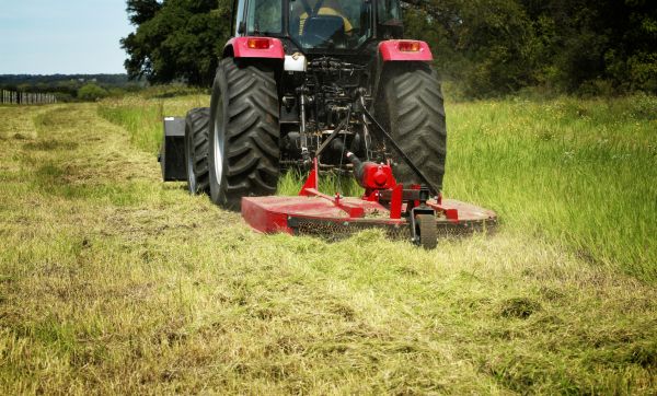 Brush Clearing Service in Redding