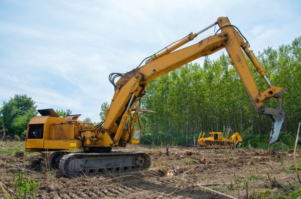 Cost of Farm Clearing in Redding