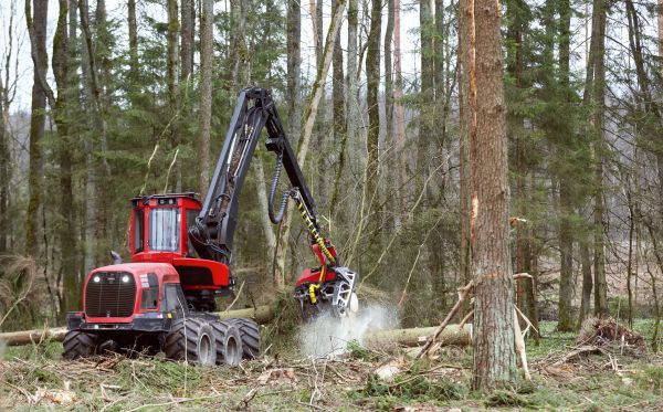 Forest Clearance Service in Redding