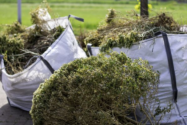 Bushes Clearing in Redding
