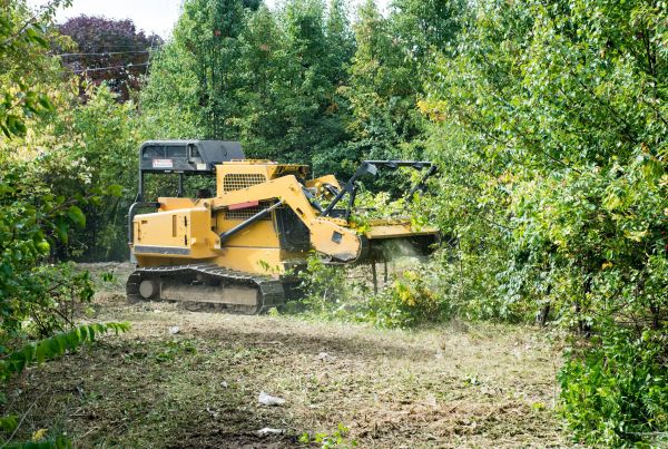 Pathway Clearing in Redding