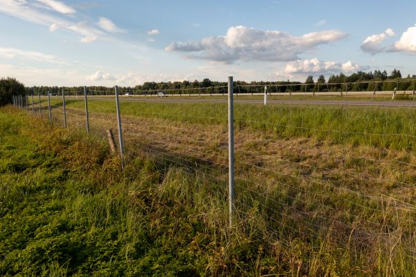 Cost of Property Line Clearing in Redding