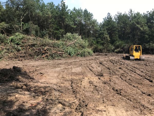 Cost of Thicket Clearing in Redding