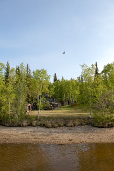 Waterfront Land Clearing in Redding