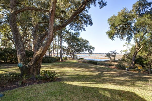 Lakefront Property Clearing in Redding
