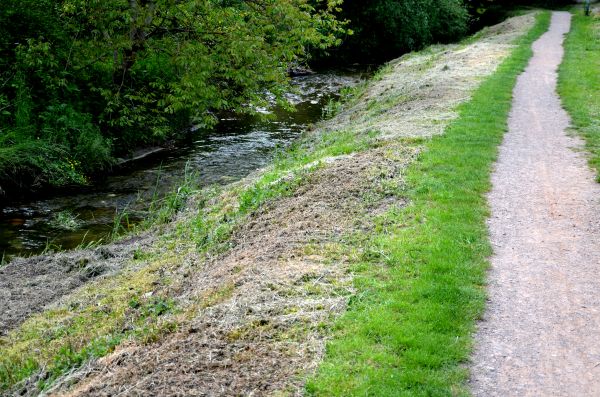 Cost of Trail Cutting in Redding